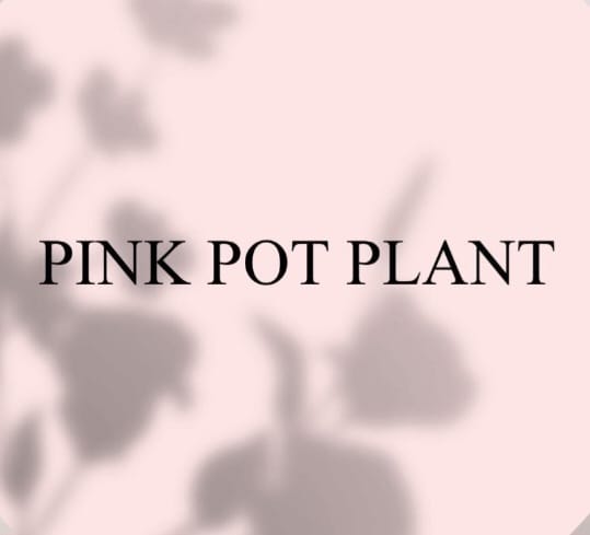 Pink Pot Plant